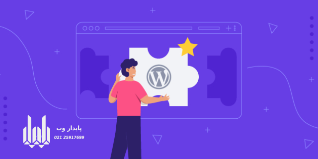 بهترین افزونه‌ های وردپرس