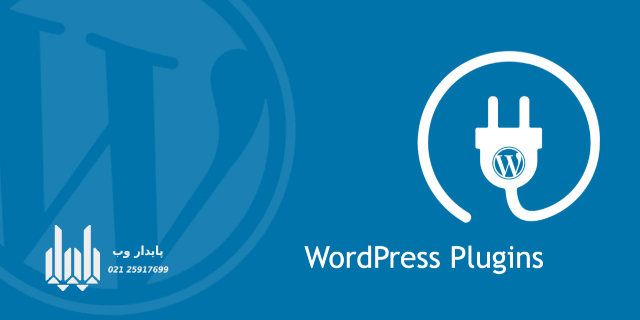 افزونه یا پلاگین در طراحی سایت